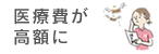 医療費が高額に